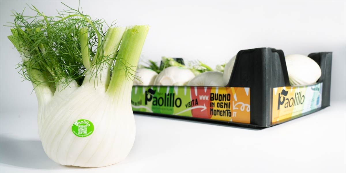 I finocchi Paolillo parlano al consumatore con un nuovo sito